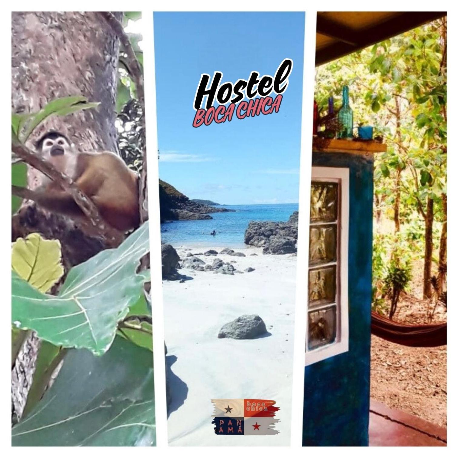 Hostel Boca Chica Kültér fotó